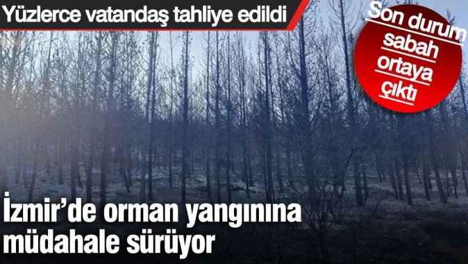 İzmir’de orman yangınına müdahale sürüyor Yüzlerce vatandaş tahliye edildi