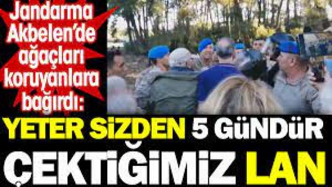 Jandarma Akbelende ağaçları koruyanlara bağırdı: Yeter sizden 5 gündür çektiğimiz lan