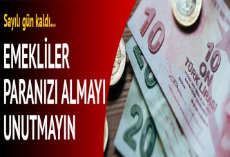 Kamuda 30 yıldan fazla hizmeti olan memur emeklileri ikramiye farklarını almaya başladı