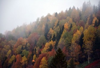 Karadeniz’de sonbahar bir başka