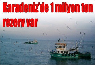 Karadeniz'de 1 miyon ton hamsi var