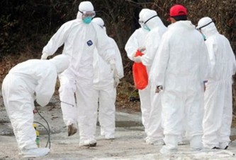 Kastamonu'da kuş gribi virüsü tespiti