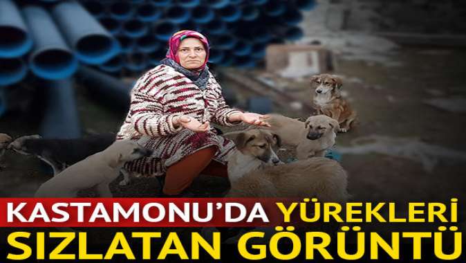 Kastamonuda yürekleri sızlatan görüntü