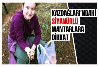 Kazdağları'ndaki mantara dikkat