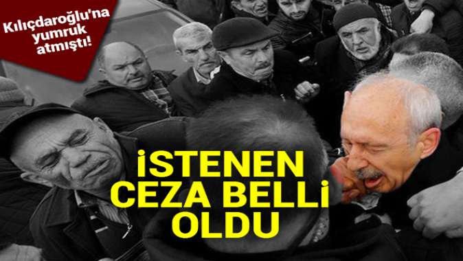 Kılıçdaroğluna yumruk atmıştı! İstenen ceza belli oldu