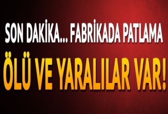 Kocaeli'nde fabrikada patlama: 1 ölü,15 yaralı