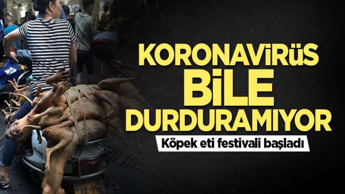 Koronavirüs akıllarını başlarına getirmedi! Köpek eti festivali başladı