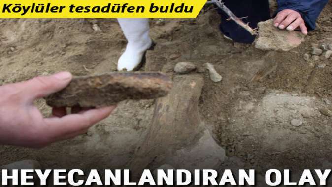 Köylüler tesadüfen buldu! Heyecanlandıran olay: Araştırılsın