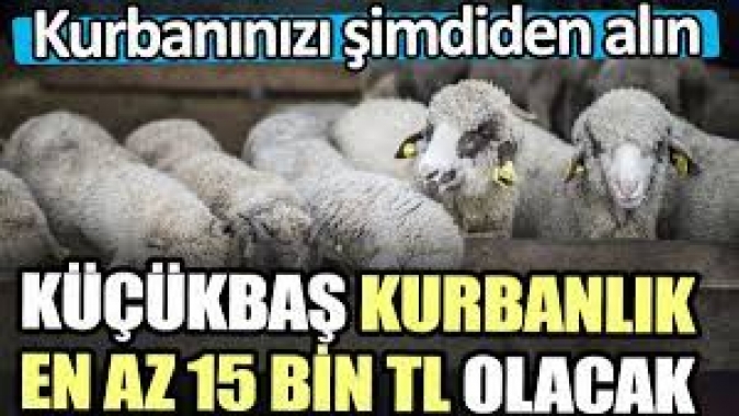 Küçükbaş kurbanlık en az 15 bin TL olacak. Kurbanınızı şimdiden alın