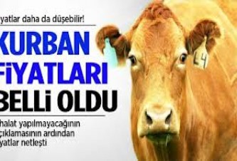 Kurban fiyatları belli oldu!