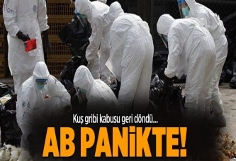 Kuş gribi kabusu geri döndü!