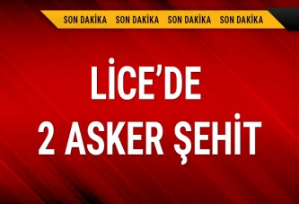 Lice'de 2 asker şehit