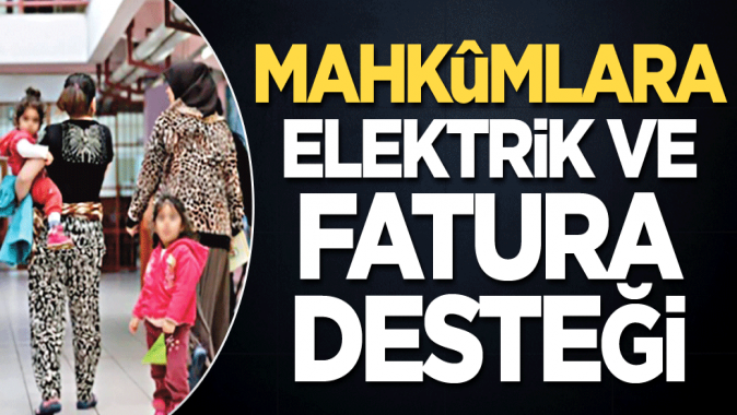 Mahkûmlara elektrik faturası ve mama desteği