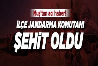 Malazgirt Jandarma Komutanı şehit oldu