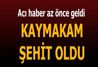 Mardin Derik Kaymakamı şehit oldu