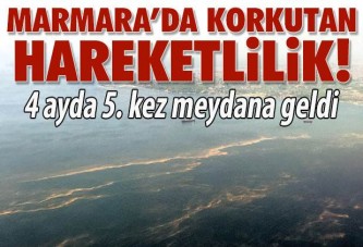 Marmara işte böyle ölüyor