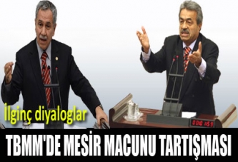 Meclis'te mesir tartışması