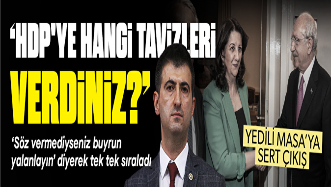Mehmet Ali Çelebi'den muhalefete sert çıkış: HDP'ye hangi tavizleri verdiniz?