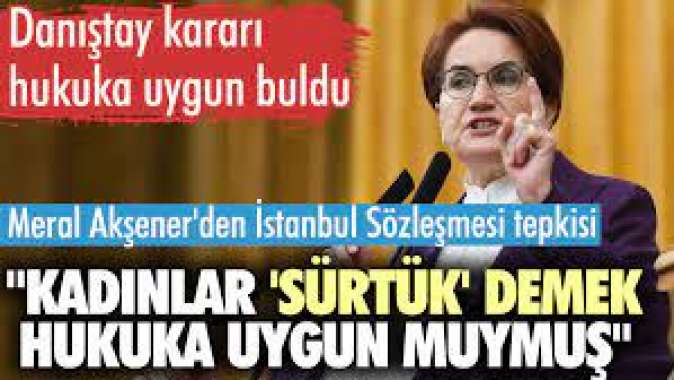 Meral Akşenerden İstanbul Sözleşmesi tepkisi: Kadınlar sürtük demek hukuka uygun muymuş?