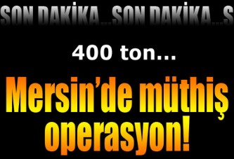 Mersin'de 400 ton GDO'lu mısır unu ele geçirildi