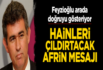 Metin Feyzioğlu'ndan Afrin mesajı