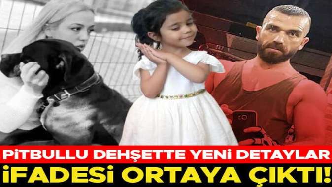 Minik Asiye pitbulların saldırısına uğramıştı! Site yöneticisinin ifadesi ortaya çıktı