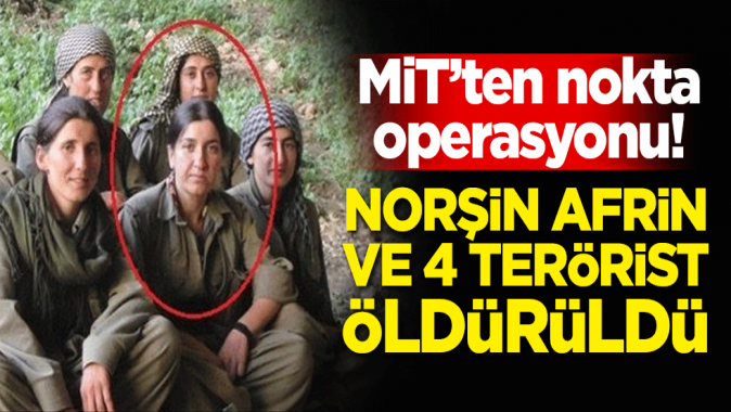 MİT'ten operasyon! Norşin Afrin ve 4 terörist öldürüldü
