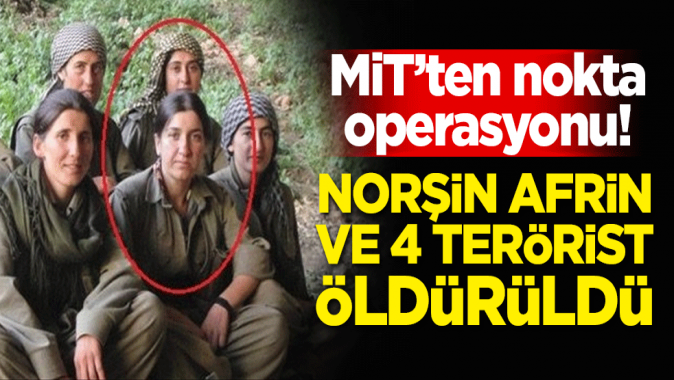 MİTten operasyon! Norşin Afrin ve 4 terörist öldürüldü