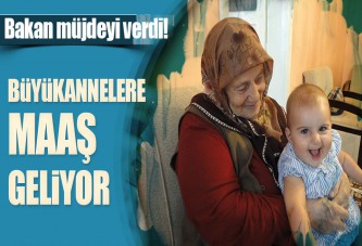 Müezzinoğlu: Büyükannelere bebek bakım parası verilecek