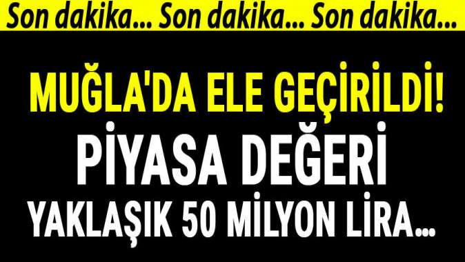 Muğlada ele geçirildi! Piyasa değeri yaklaşık 50 milyon lira…