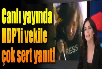 Nazlı Çelik'ten HDP'ye çok sert yanıt!