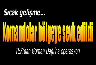 Operasyon sürüyor! Komandolar bölgeye sevk edildi