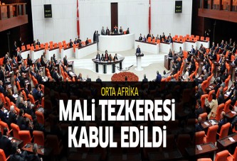 Orta Afrika ve Mali tezkeresi kabul edildi
