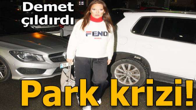 Park krizi