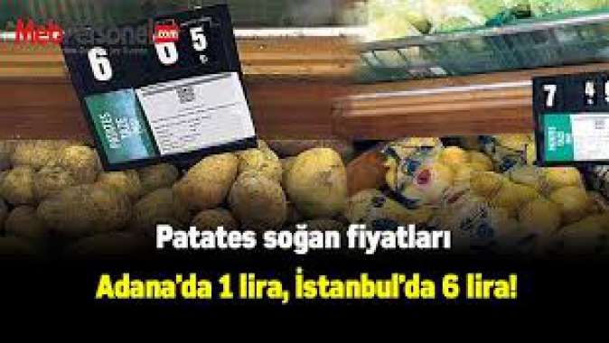 Patates soğan fiyatları Adanada 1 lira, İstanbulda 6 lira!