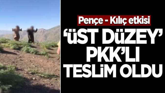 Pençe - Kılıç etkisi! Üst düzey PKKlı terörist teslim oldu