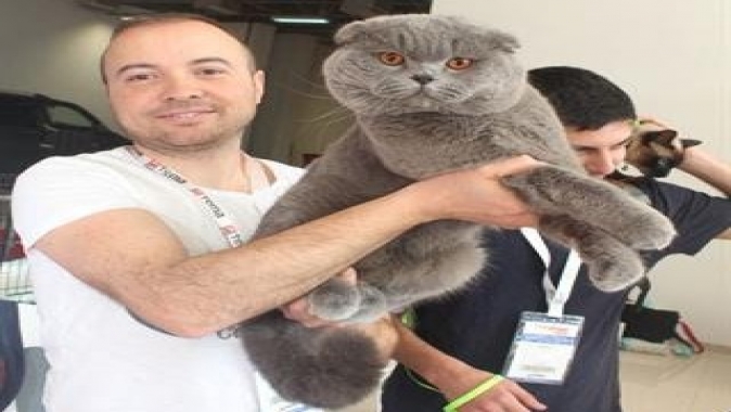 Pet İzmir 2026 Fuarı - Evcil Hayvan Sektörünün Buluşma Noktası