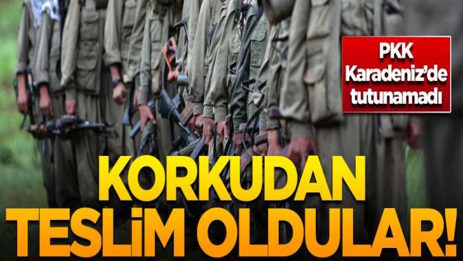 PKK Karadenizde tutunamadı! Korkudan teslim oldular