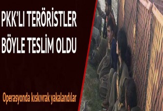 PKK'lı teröristler teslim oldu