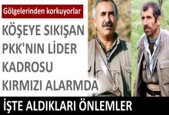PKK'nın "Ladin" önlemi
