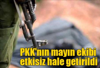 PKK'nın mayın ekibi etkisiz hale getirildi
