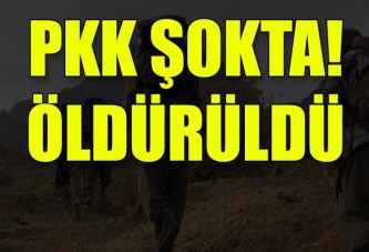 PKK'nın Tendürek bölge sorumlusu Hakan Yeni öldürüldü