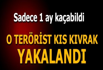 PKK'nın 'Tünelci teröristi' yakalandı!