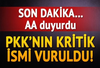 PKK'nın üst düzey yöneticisi vuruldu