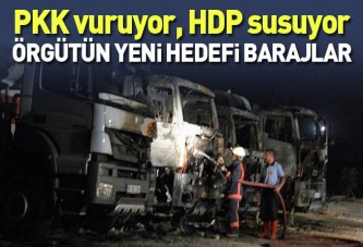 PKK'nın yeni hedefi baraj inşaatları