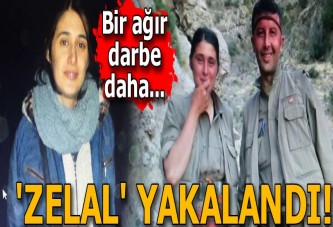 PKK'ya bir darbe daha! 'Zelal' yakalandı...