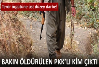 PKK'ya üst düzey darbe