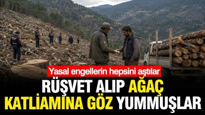 Rüşvet alıp ağaçların katledilmesine göz yumdular
