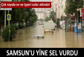 Samsun sele teslim