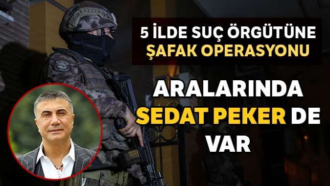 Sedat Peker ve suç örgütüne eş zamanlı operasyon